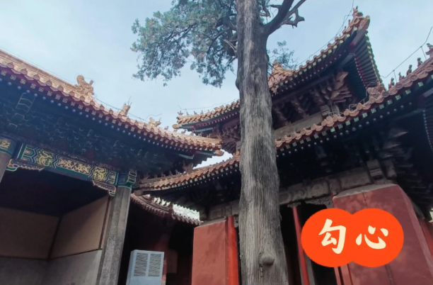 1754448764211322.png image.png